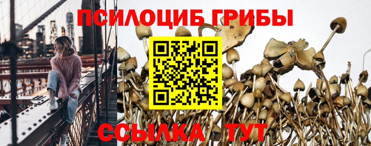 Дедовск  Галлюциногенные грибы мухоморы  Вход с VPN 
